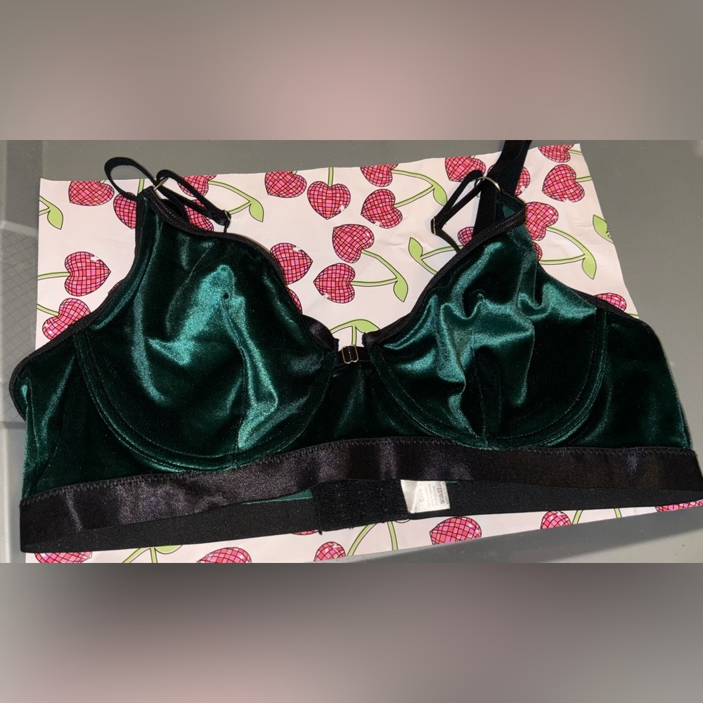 COPY - Velvet Green Bra Large
